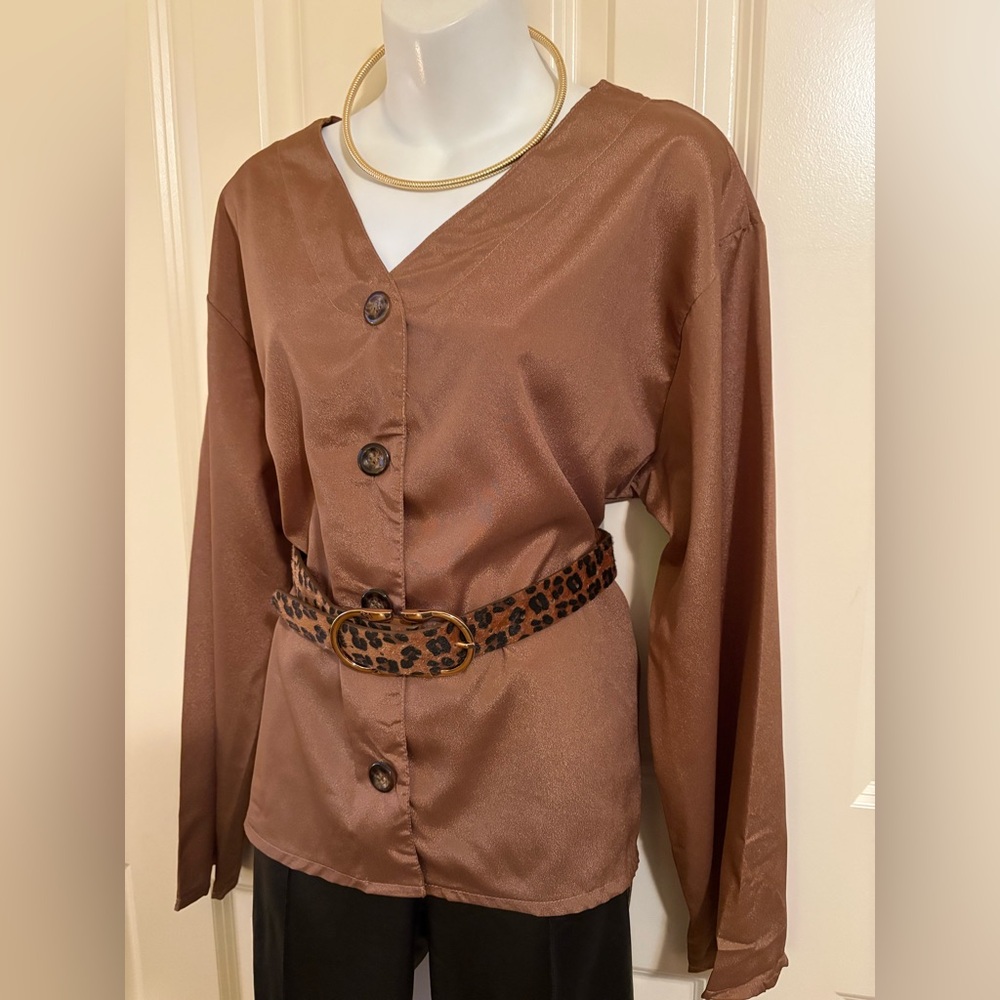 Brown Satin Button-Down Top with V-Neck